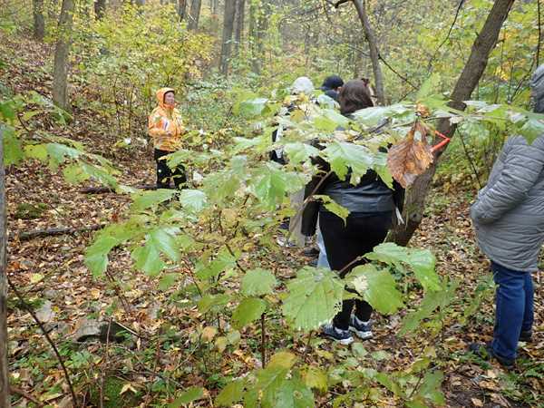 Silver Mound Tour