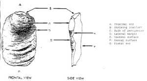 Drawing of a flake 