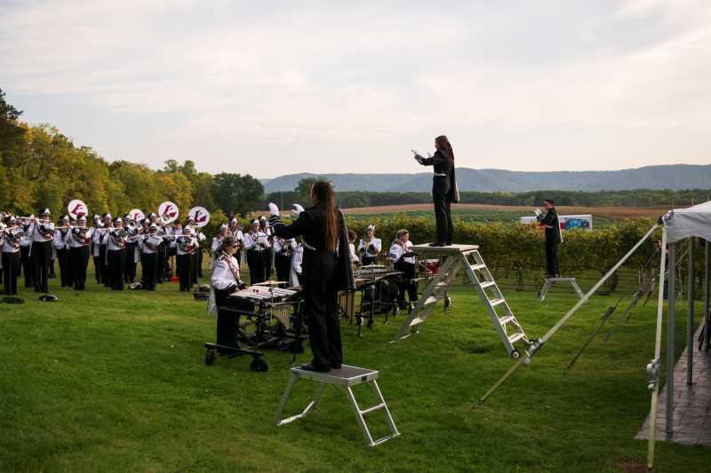 Elmaro Vineyard Performance