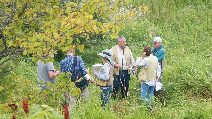 wetland delineation