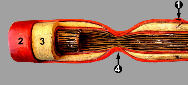 Lab-2 34