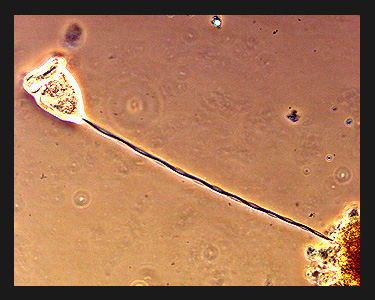 Lab-3 16 Lab-3 16