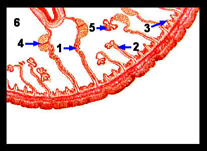 Lab-4 29 Lab-4 29