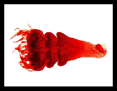Lab-4 34