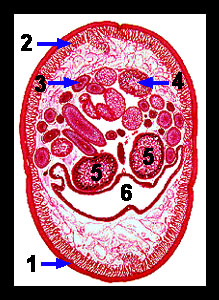 Lab-7 44 Lab-7 44
