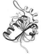 Biochemistry