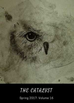 Volume 16