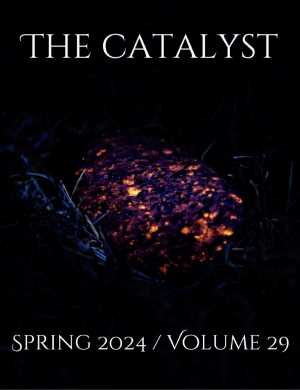Volume 29