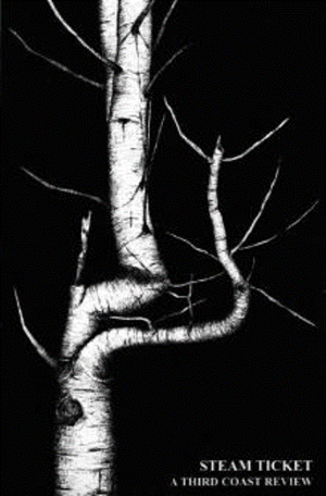 Volume 2 (1996)