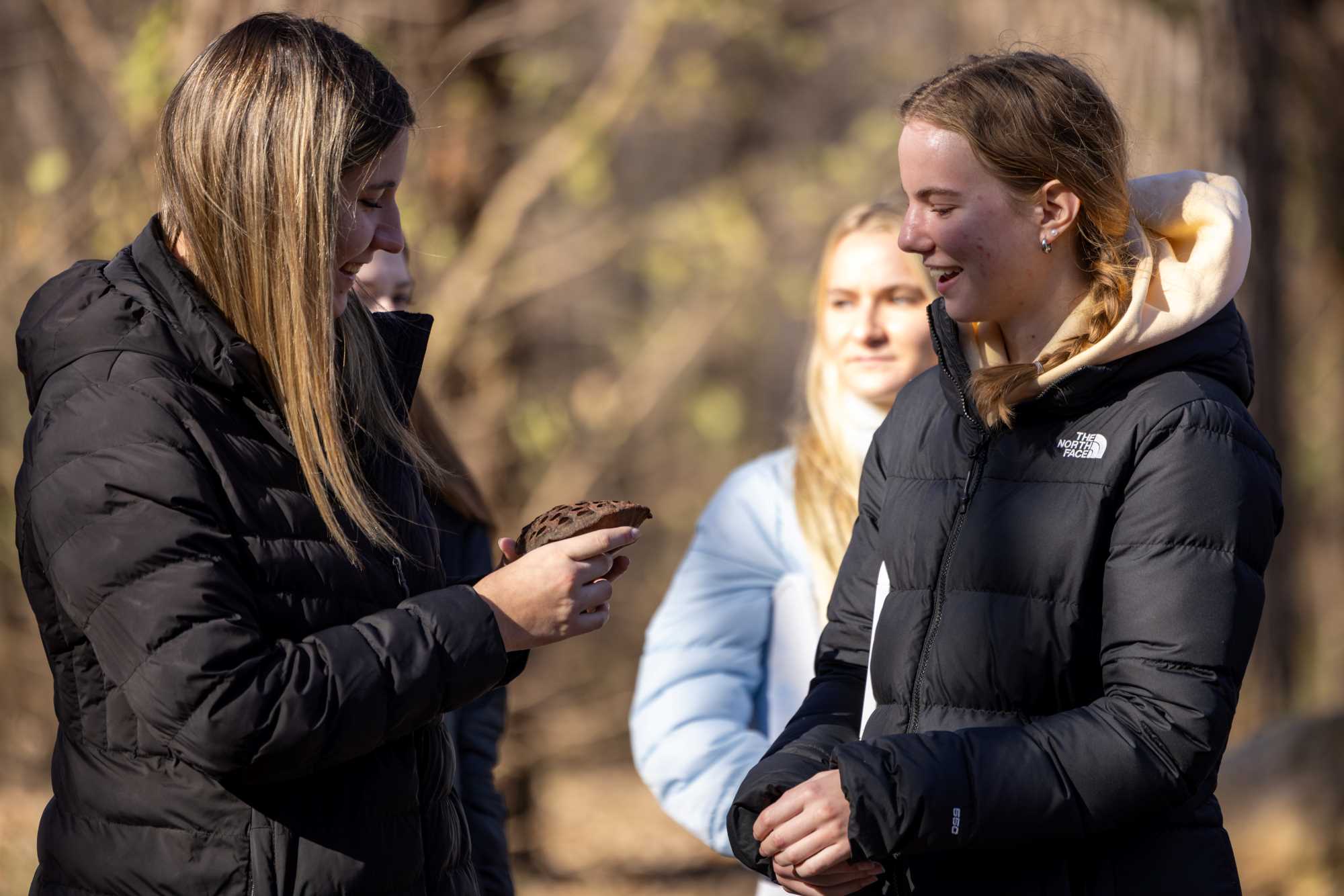 Slideshow image for Slide 20