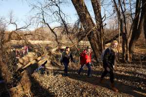 Students walking through woods by the marsh