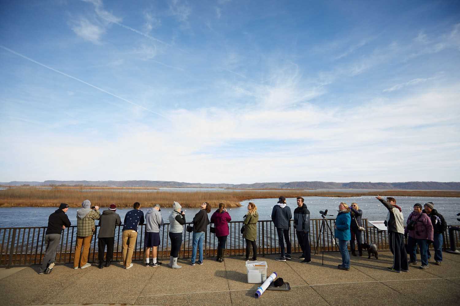 Tundra Swan Migration Fieldtrip 