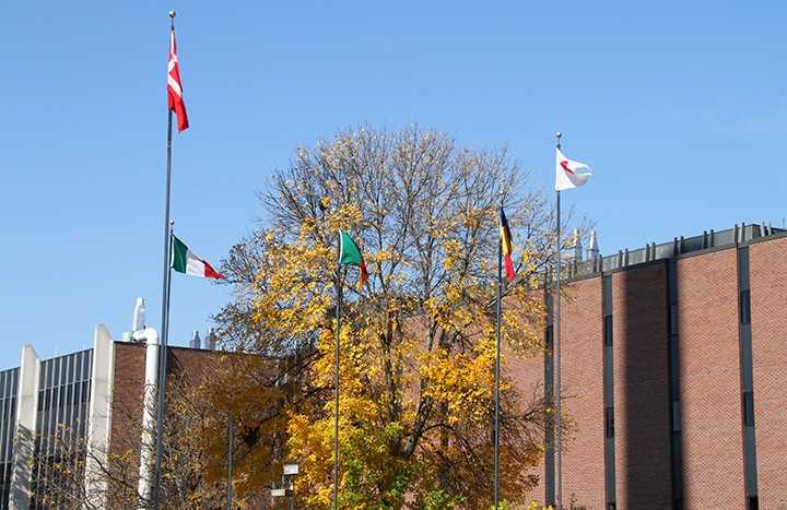 International Flags on the UWL Campus