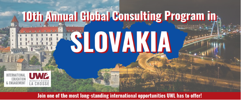 Slovakia Banner