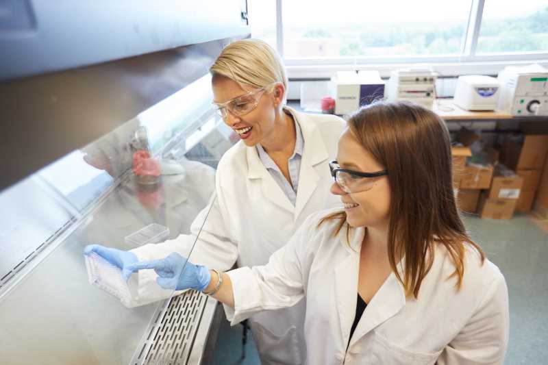 Students working in a biological safety cabinet