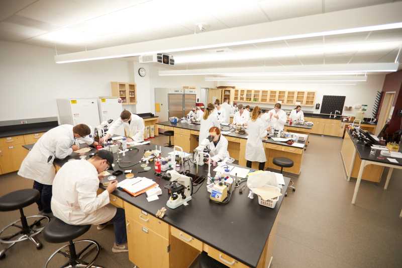 students in class
