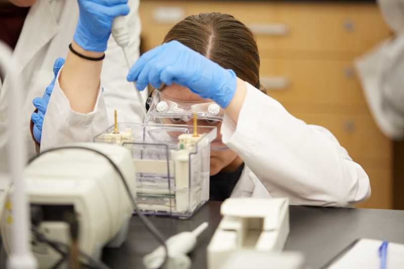 Student loading a gel