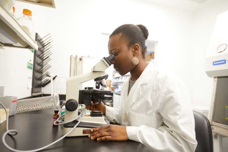 Student using a microscope