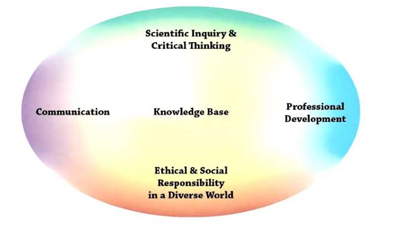 APA guidelines graphic APA guidelines graphic