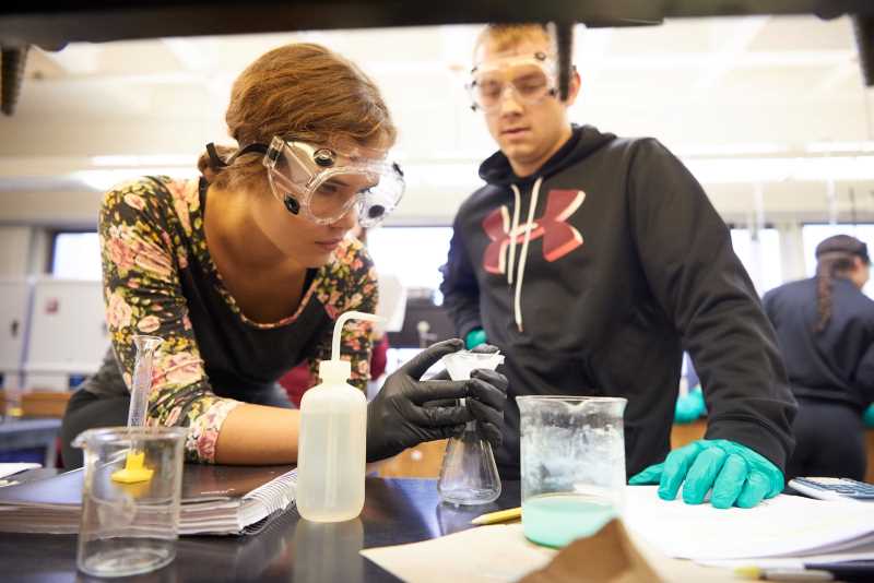Students working in a science lab