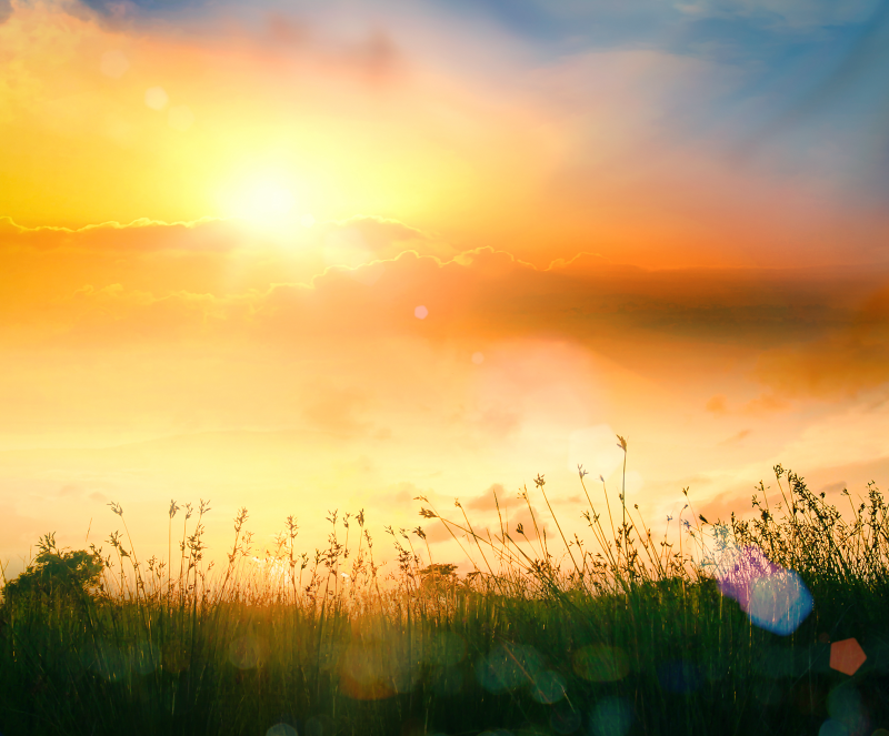 Register INTERNATIONAL DEATH, GRIEF, AND BEREAVEMENT CONFERENCE UWLa Crosse