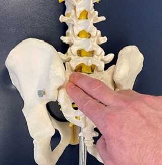 sacroiliac joint
