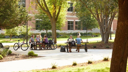 student studying