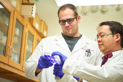 Microbiology Research