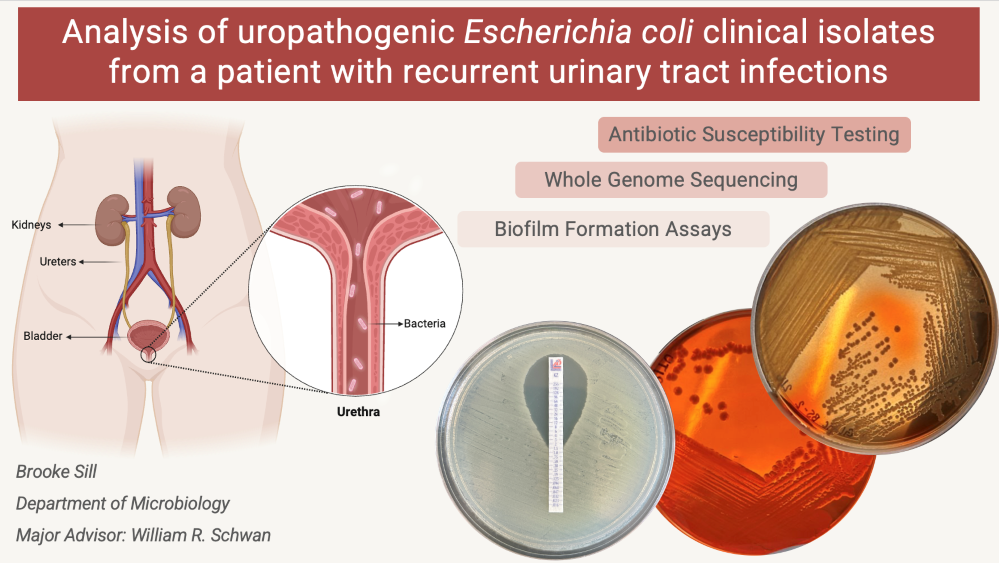 Major Advisor: Dr. William R. Schwan