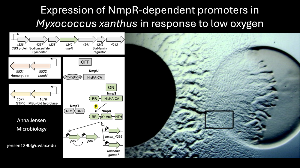 Major Advisor: Dr. Daniel Bretl