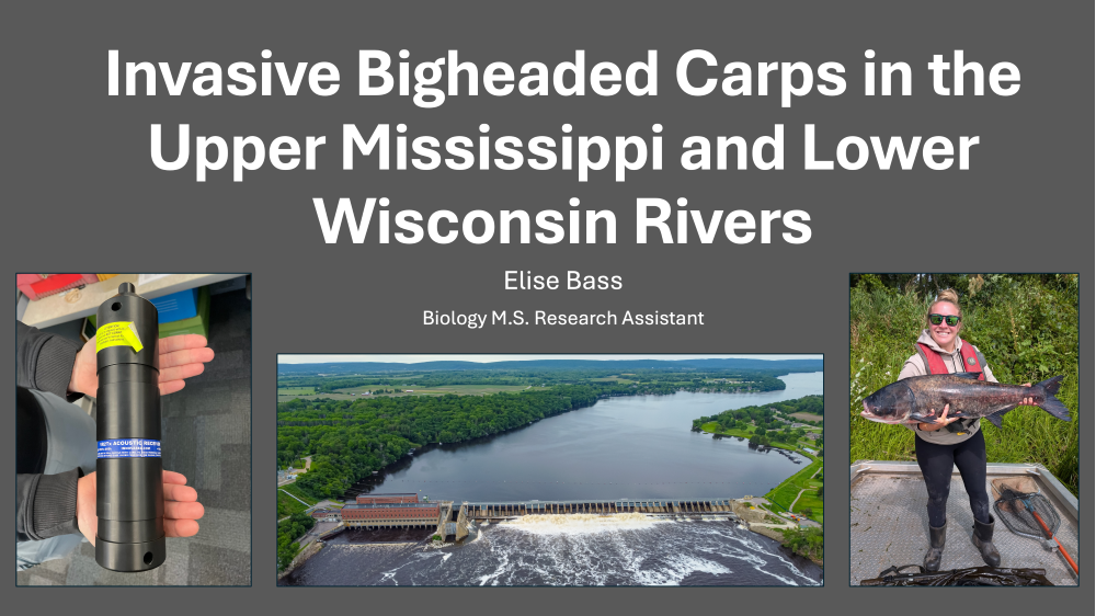 Major Advisor: Dr. David Schumann