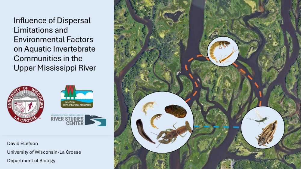 Major Advisor: Dr. Ross Vander Vorste