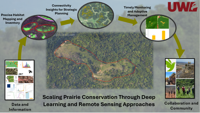 Scaling prairie conservation through deep learning and remote sensing approaches (Click for abstract)