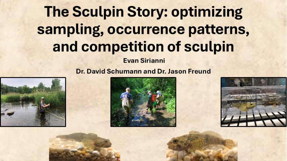 Major Advisor: Dr. David Schumann