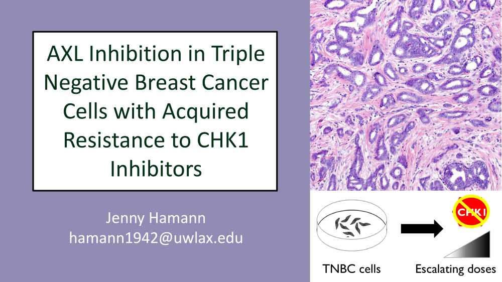 Major Advisor: Dr. Sierra Colavito