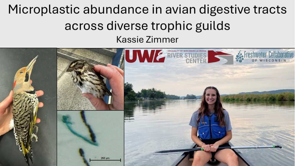 Microplastic abundance in avian digestive tracts across diverse trophic guilds (Click for abstract)