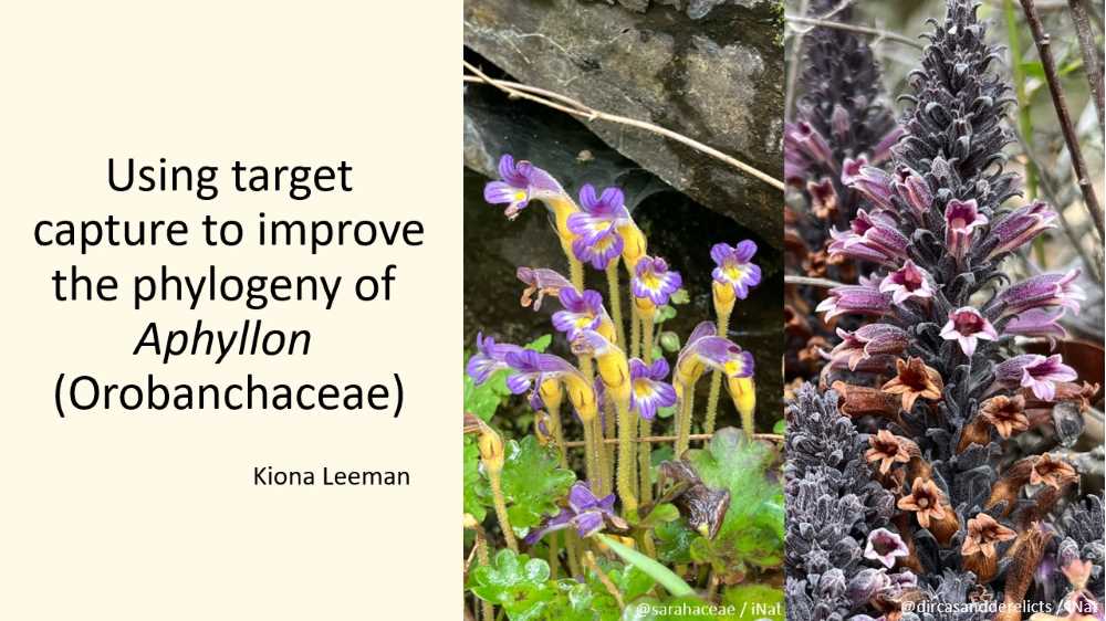 Major Advisor: Dr. Adam Schneider