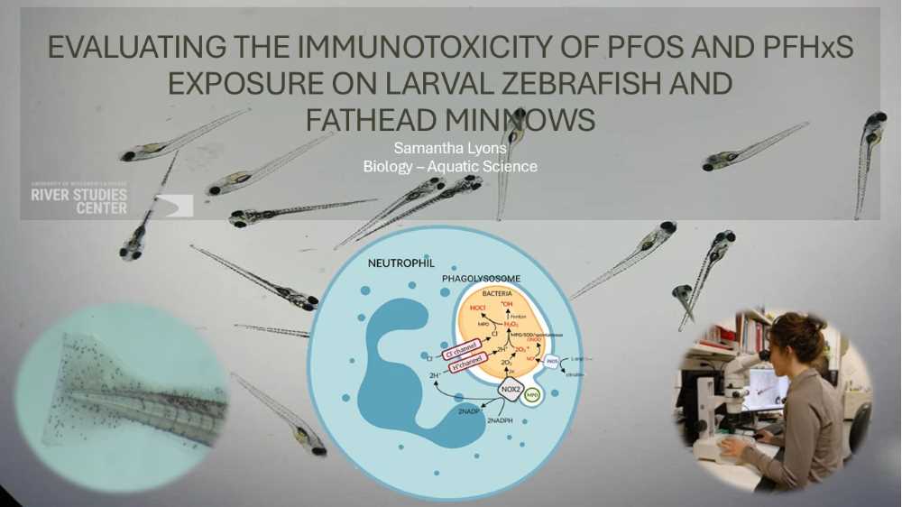 Major Advisor: Dr. Tisha King-Heiden