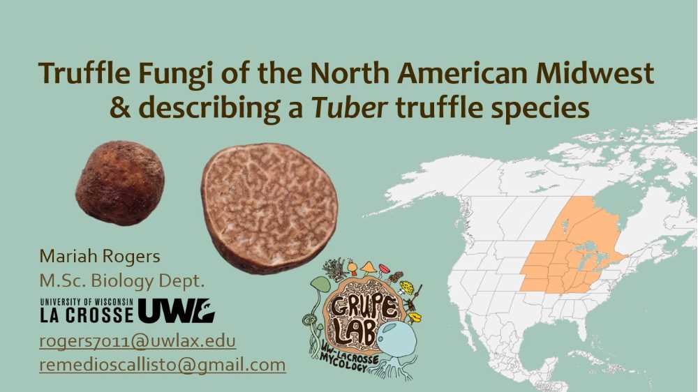 Major Advisor: Dr. Arthur Grupe