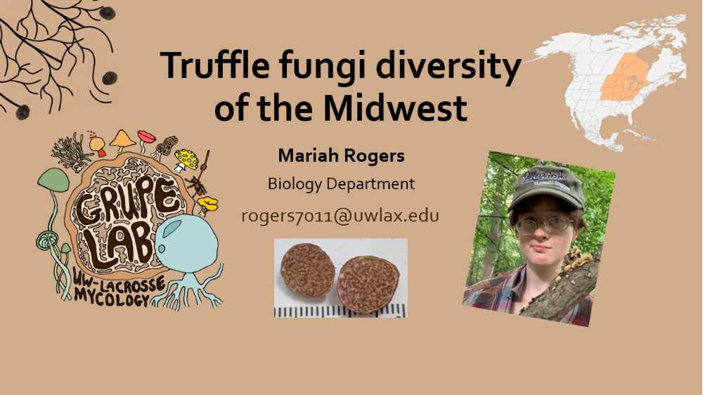Truffle fungi diversity of the Midwest  (click for abstract)