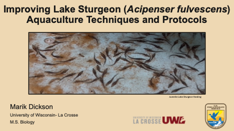 Major Advisor: Dr. David Schumann