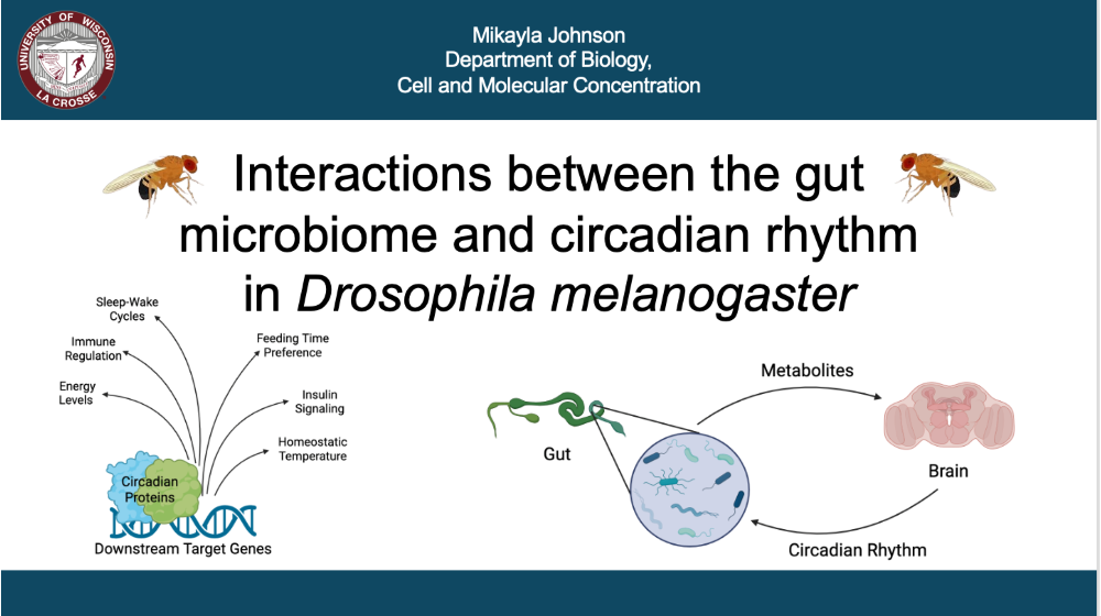 Major Advisor: Dr. Alder Yu