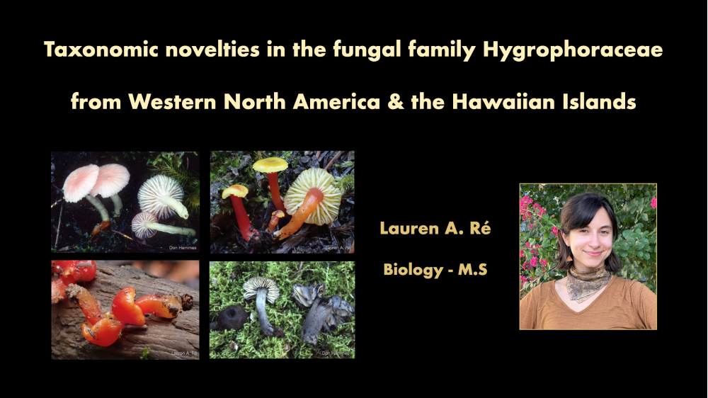 Taxonomic novelties in the fungal family Hygrophoraceae from western North America & the Hawaiian Islands