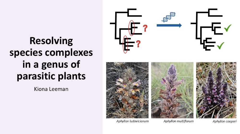 Using target capture to resolve species complexes within a genus of parasitic plants  (Click for abstract)