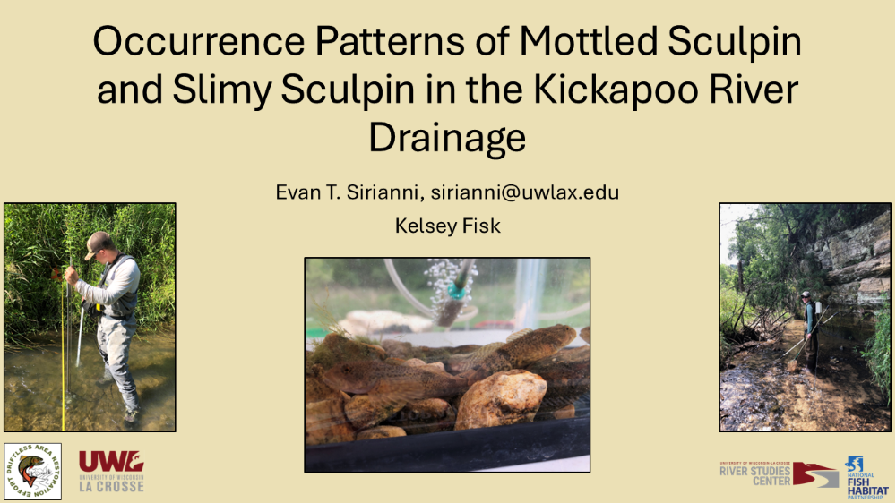 Occurrence Patterns of Mottled and Slimy Sculpin in Wisconsin’s Kickapoo River  Drainage: Implications for Stream Management (Click for abstract)