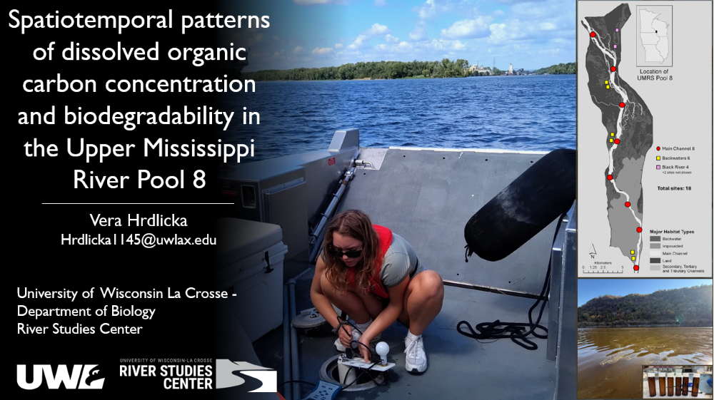 Major Advisor: Dr. Eric Strauss