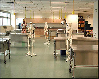 Anatomy Lab