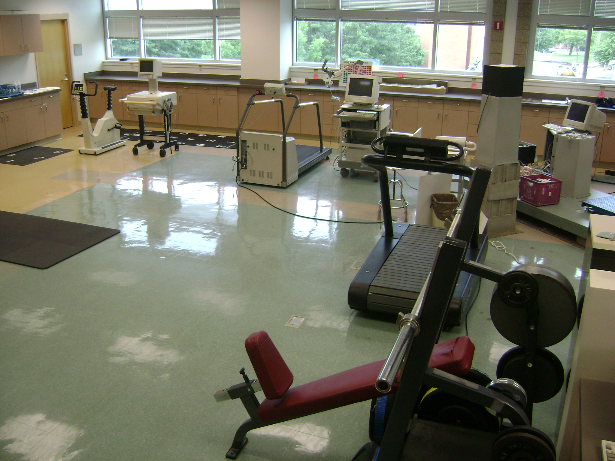 Human movement and physiology laboratory Physical Therapy UWLa Crosse