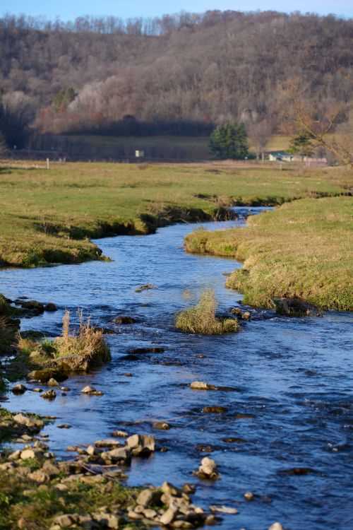 Trout stream in a valley