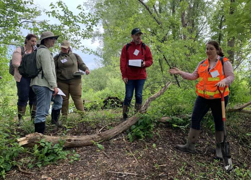 Wetland Delineation Workshop students engaged in field work.